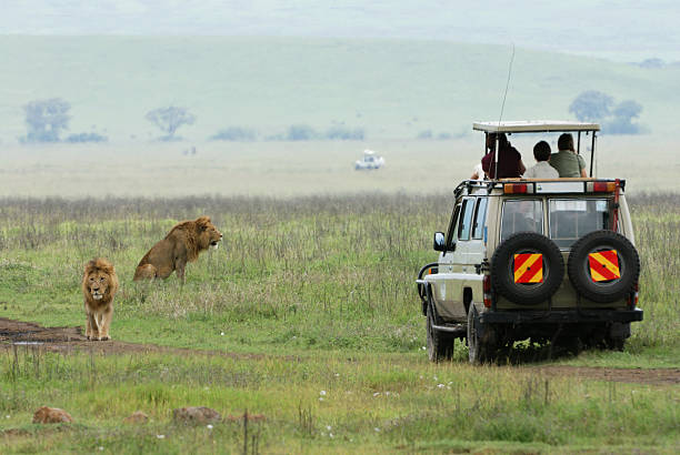 safari in Tanzania