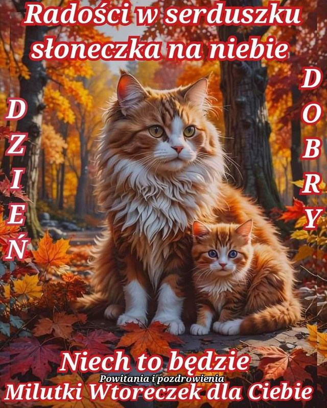 Obrazek