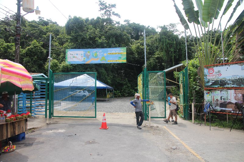 DIA 14: PARQUE DE MANUEL ANTONIO - DE TORTUGAS Y PEREZOSOS. COSTA RICA 2019 (3)