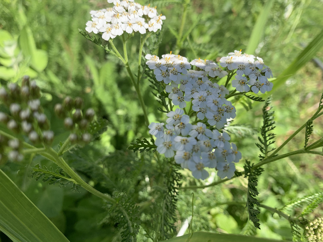 D9935864-9EBE-454F-A8F3-1B4F040E137A