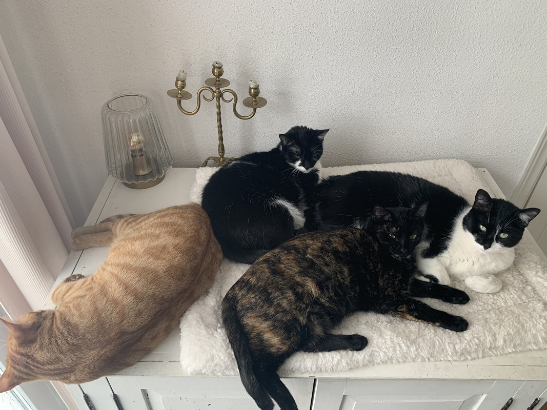 6AE21982-F7B4-4EE6-8677-8C02FBC69502