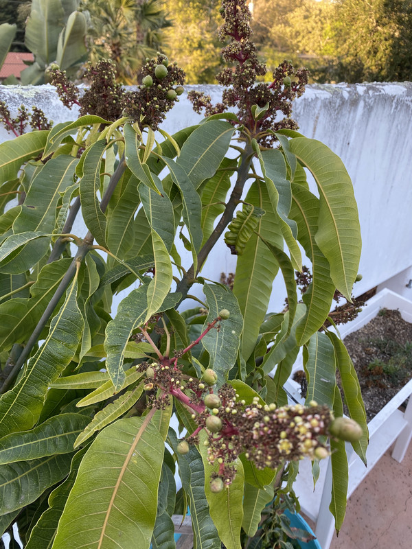 645F470B-D3E8-4F7A-985C-05D6E78690BE