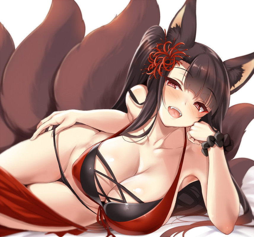 Forum Image: https://i.postimg.cc/2SNTmg3J/yande.re_456235_sample_akagi_(azur_lane)_animal_ears_azur_lane_b.jpg