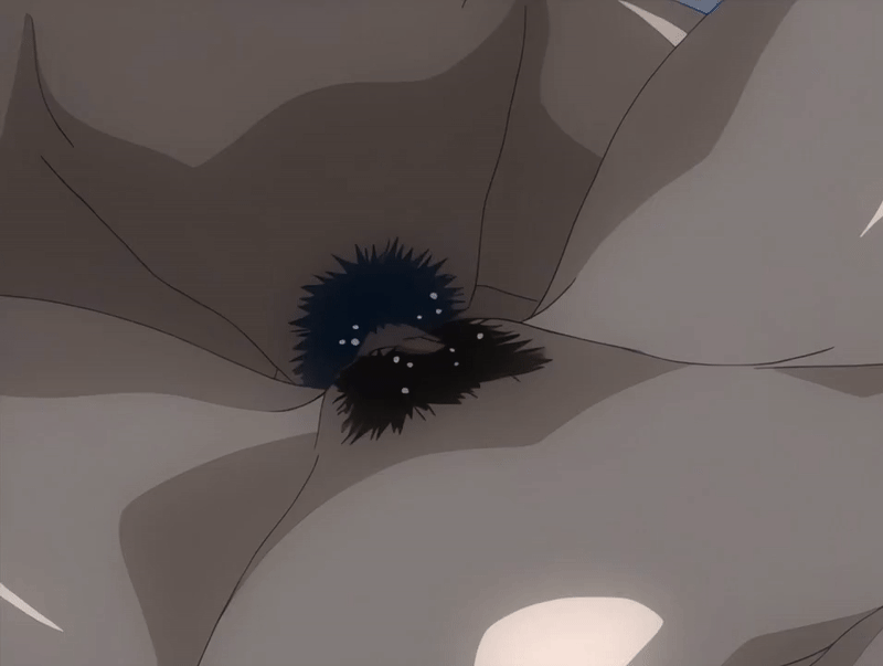 bba7e833c0cc8ac4282e5c2c60275895