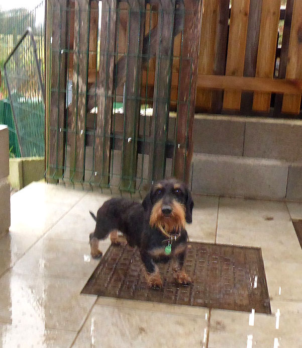 [Image: P1040116.jpg]