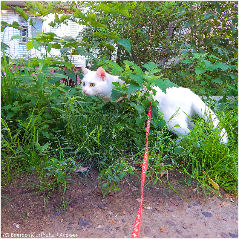 Изображение 007-2