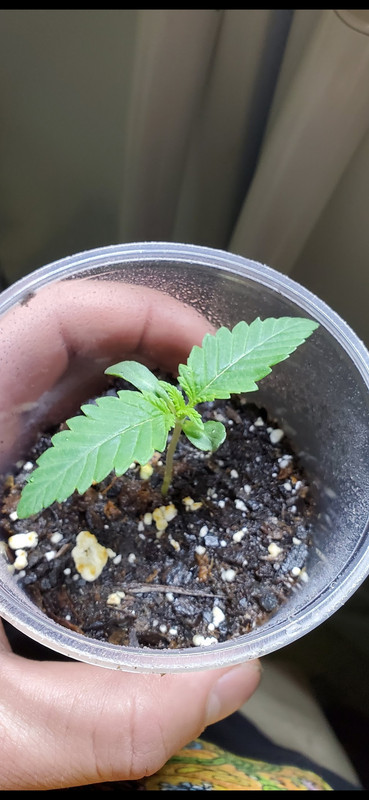 Screenshot_20240115_202309_Photos