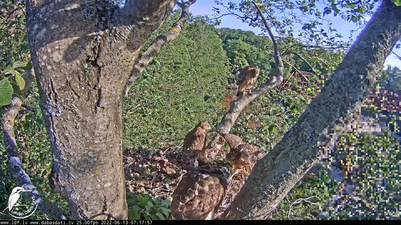 _9-33-37 screenshot (1)