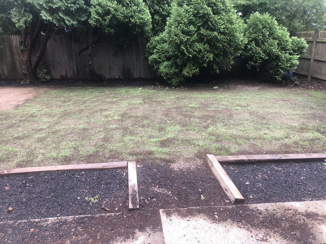 08_27_20 Backyard2