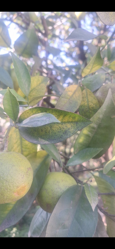 Screenshot 20251101 204811 Gallery