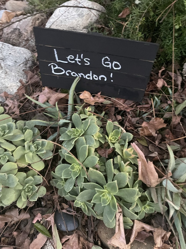 02041B87-2CD7-4D64-9A1E-B3C7EB82441D_1_105_c