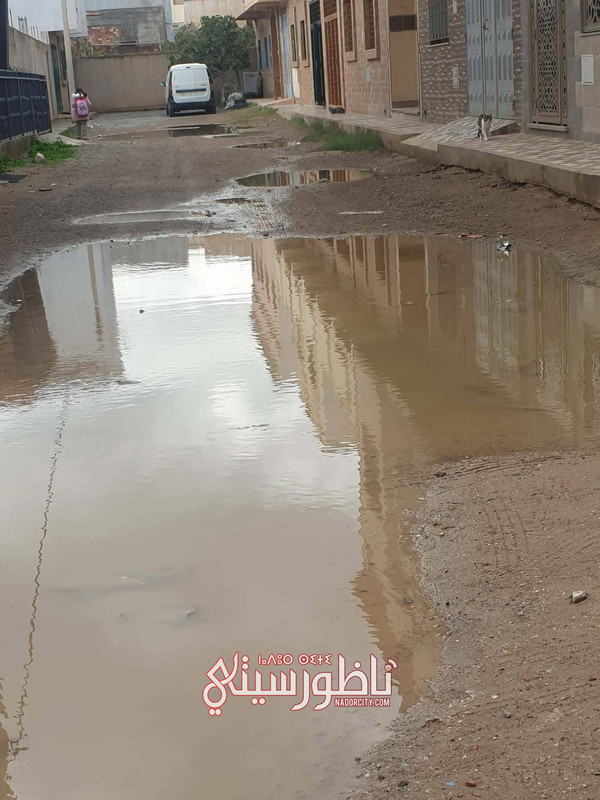 e5e1615f-776b-4ca2-9d6a-df0dcd27163b