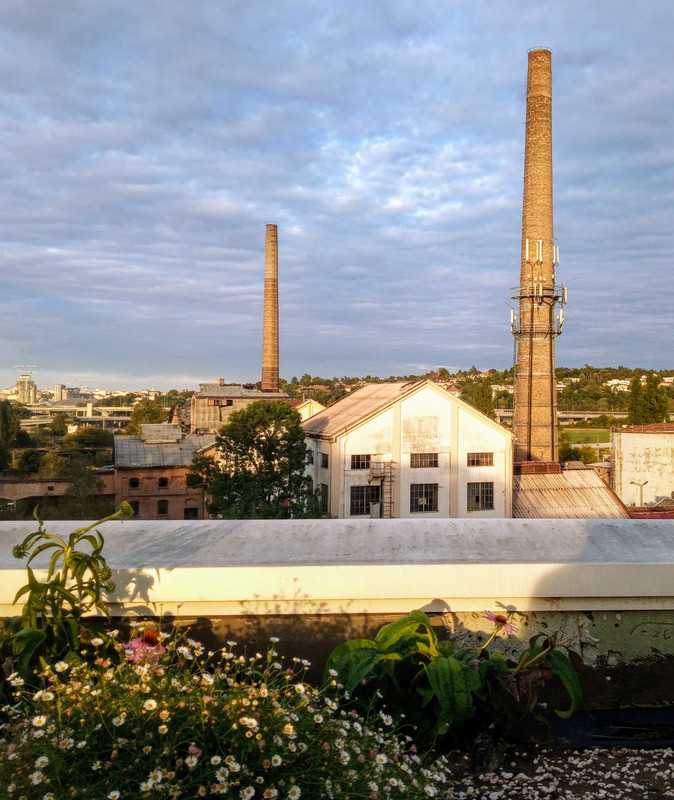 20200927_174256(1)~2