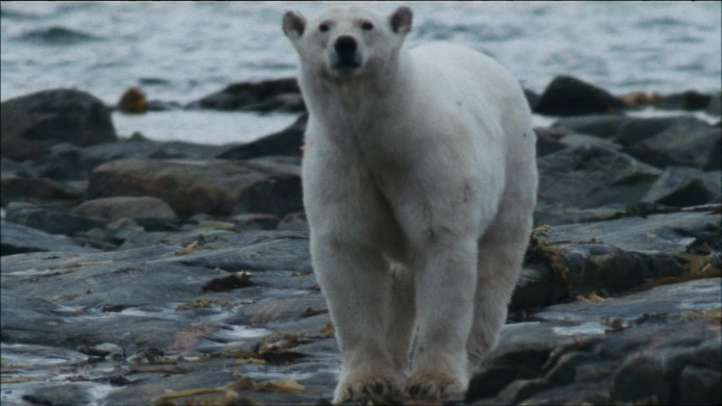 vlcsnap-2018-06-02-22h38m37s571