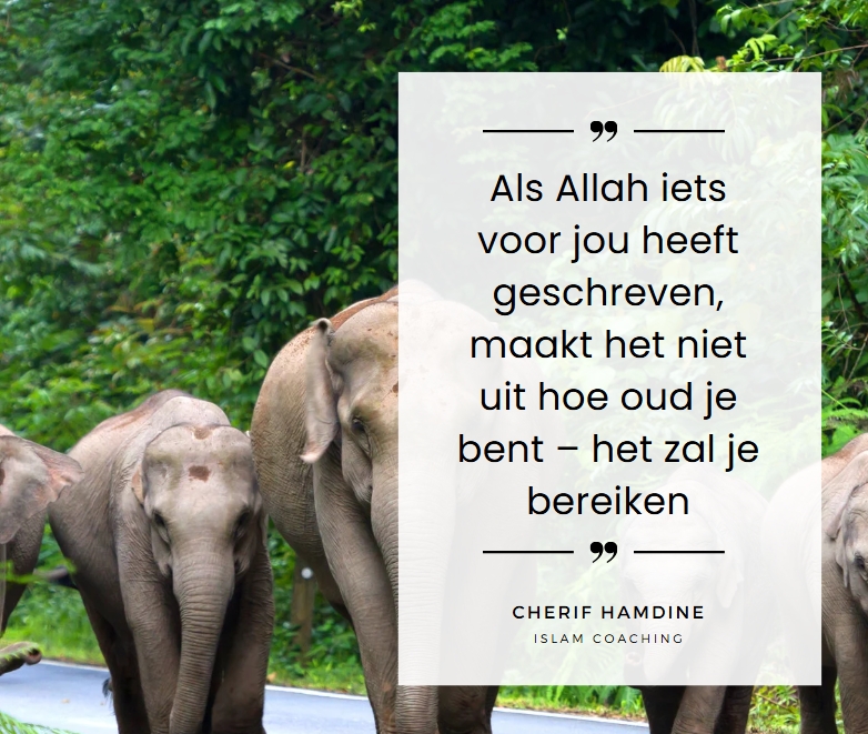 Schermopname-24-3-2025-9915-www-canva-com