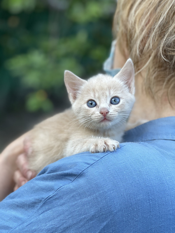 FB3B53AE-96B6-4AA8-8B6E-380EADEFCDC9