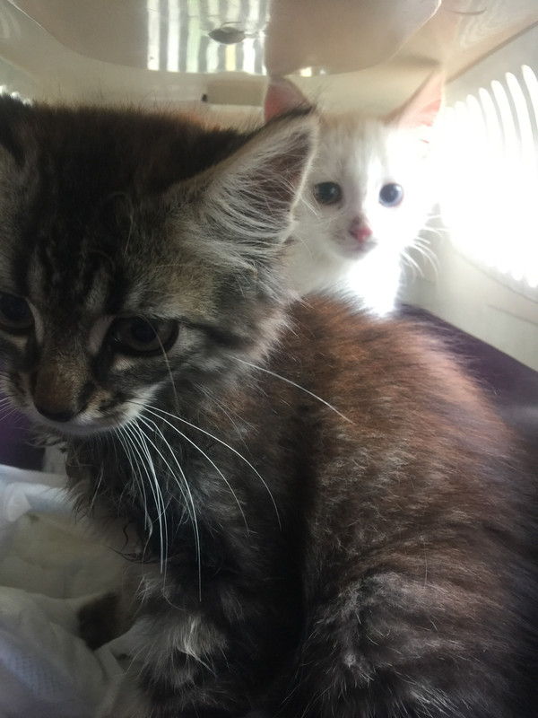 AB5557B8-AD6D-4133-A373-17544EEF73CE