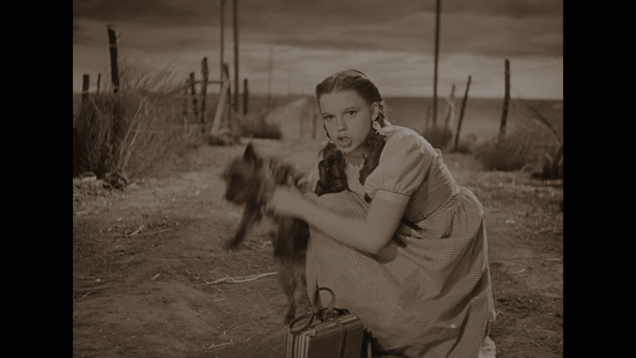 [Immagine: vlcsnap-2023-02-22-14h41m18s544.png]