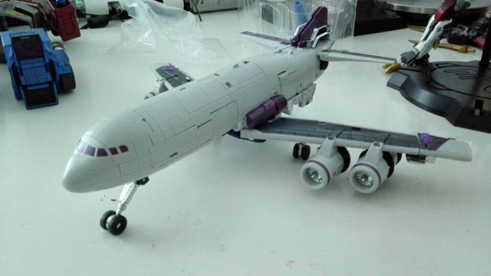 11987098_127654600918309_2892325254851222320_n