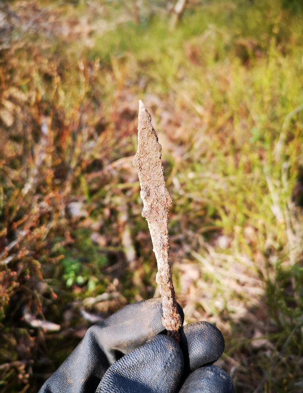 IMG_20190419_153133