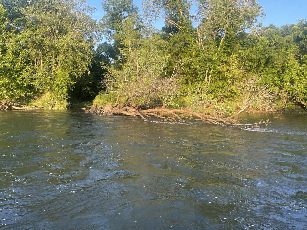IMG-7031.jpg