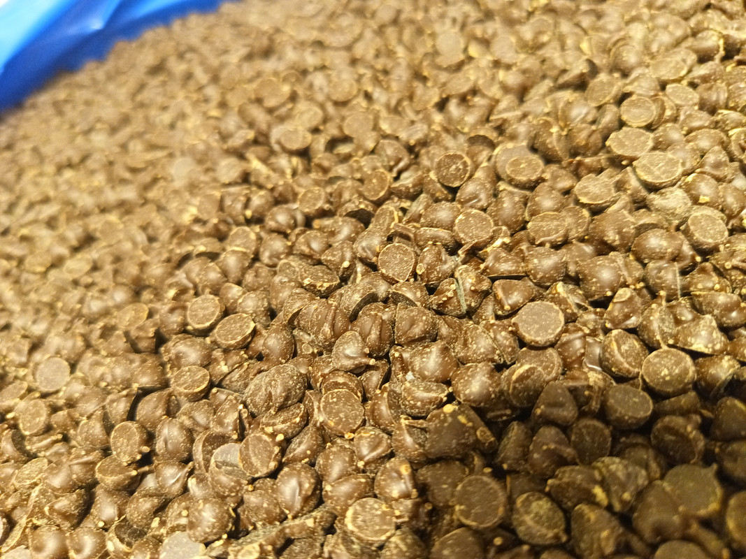 IMG 20251031 154949 480