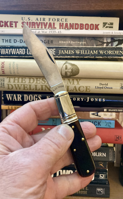 2566EC54-E7A7-4812-8728-E1D665536F11