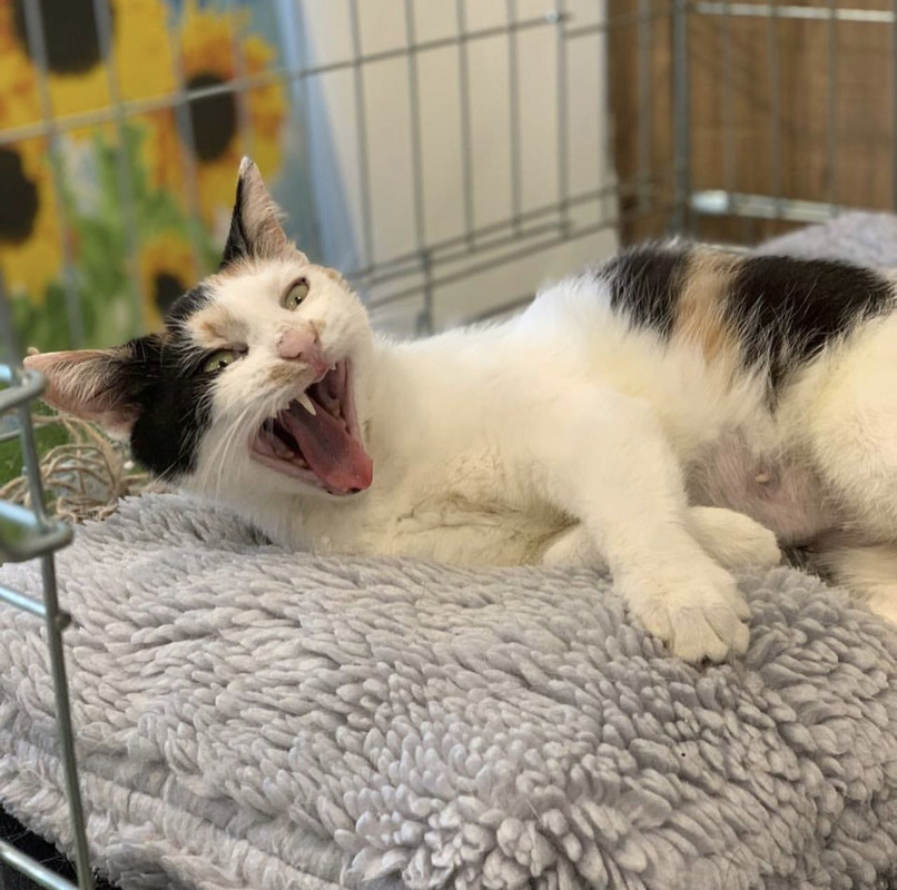 C212877D-26AA-43D9-BE04-824AD5F76306