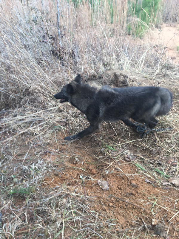 702FEF4E-3F8E-44D2-A4E0-1AC227076AFB