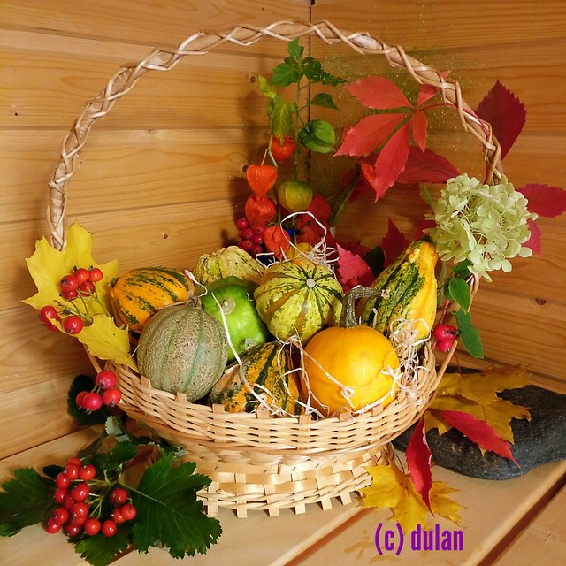 [Image: IMG-20231006-214253.jpg]