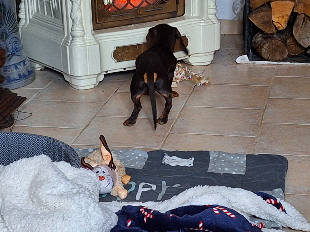 [Image: 20240123-134311.jpg]