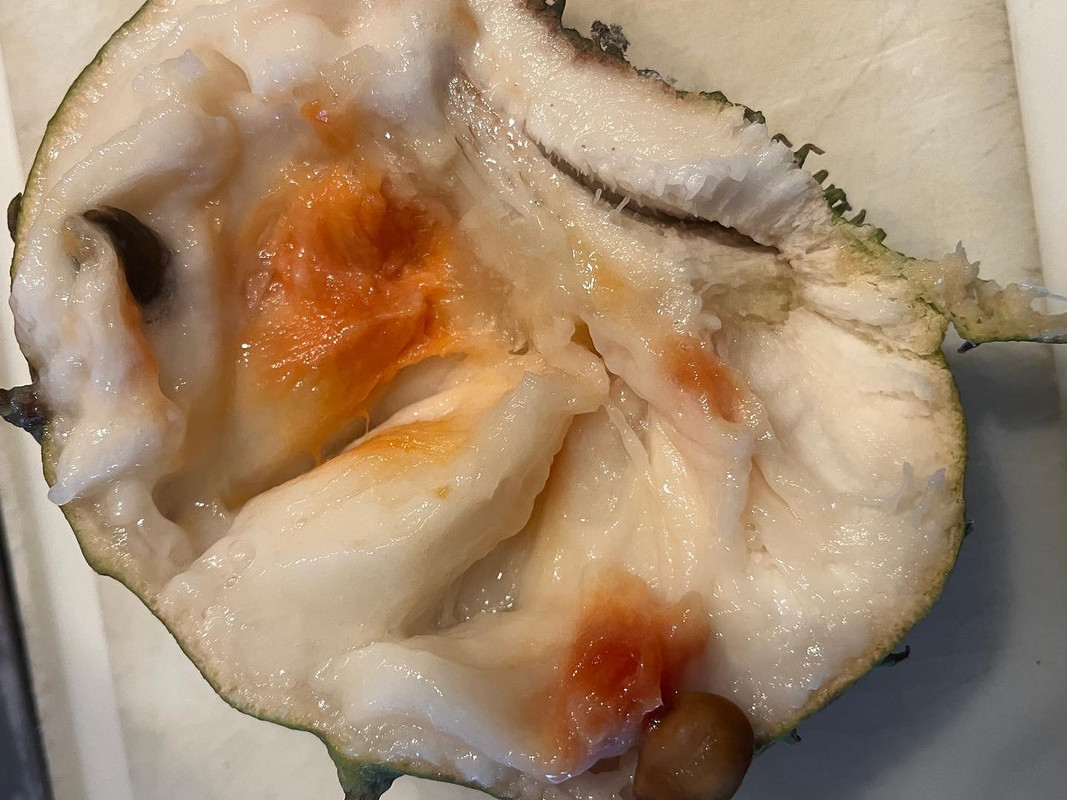 8BF288D4-8316-4E41-A0A4-39898B269898