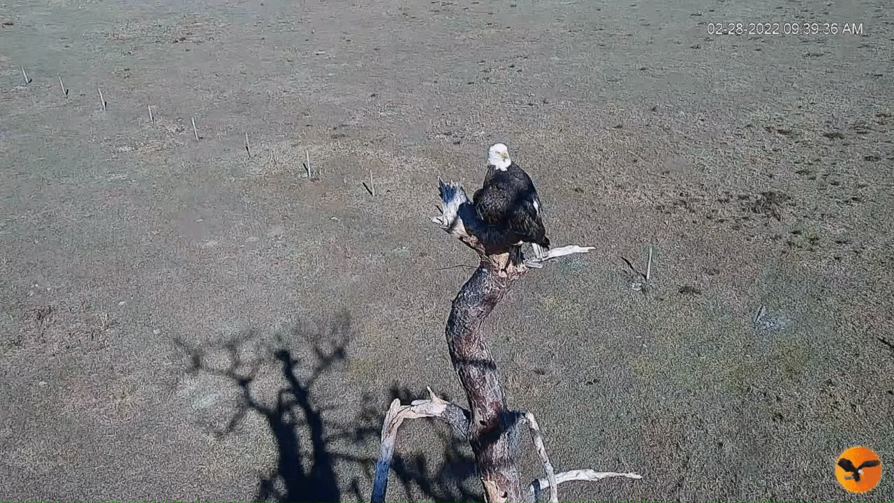 Webp.net-gifmaker (8)