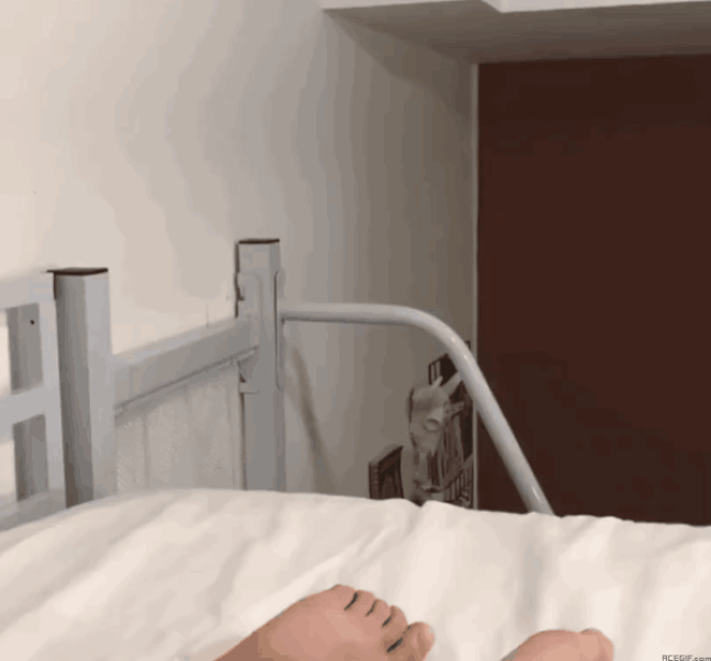 An den Beitrag angehängtes Bild: https://i.postimg.cc/2SSK4S6t/oie-108730RJc1EXp2.gif