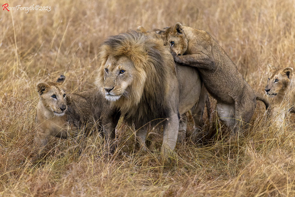 _5RF9865-CR3_DxO_DeepPRIME