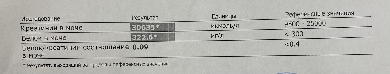 D8A06AE2-A556-4D4B-A5FF-E67E5B49AB31