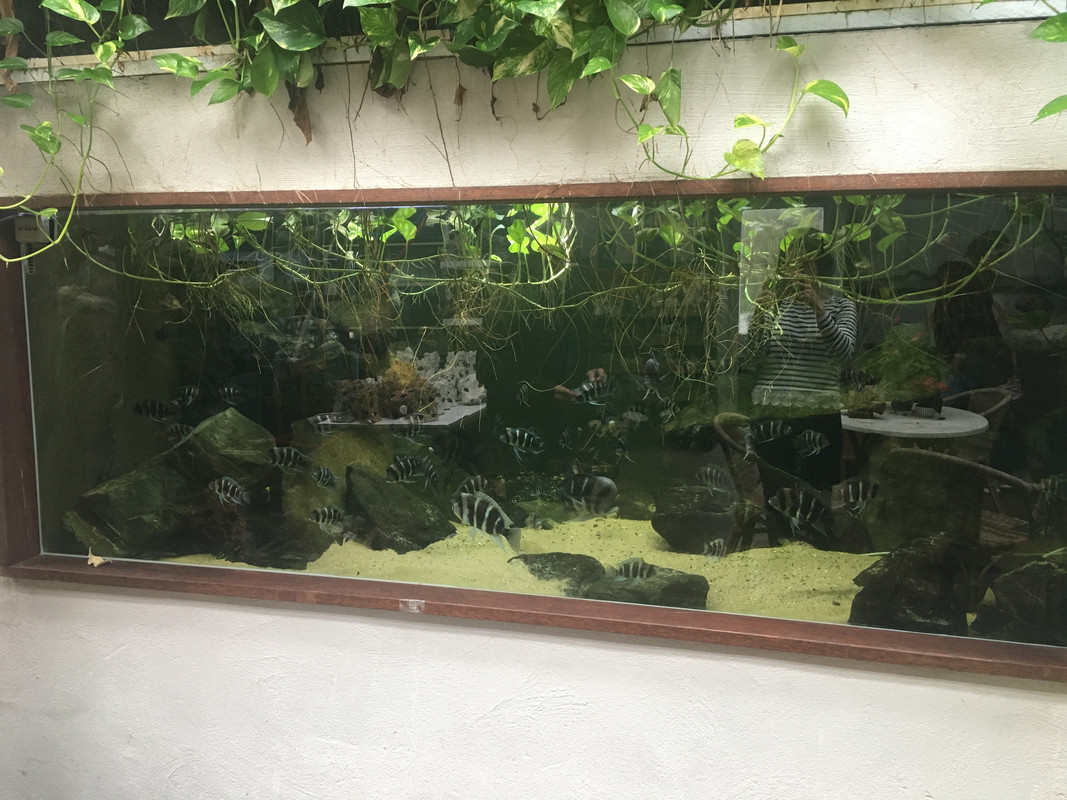 6B99C068-2C6F-4ABE-9440-B8A95A4AEE82