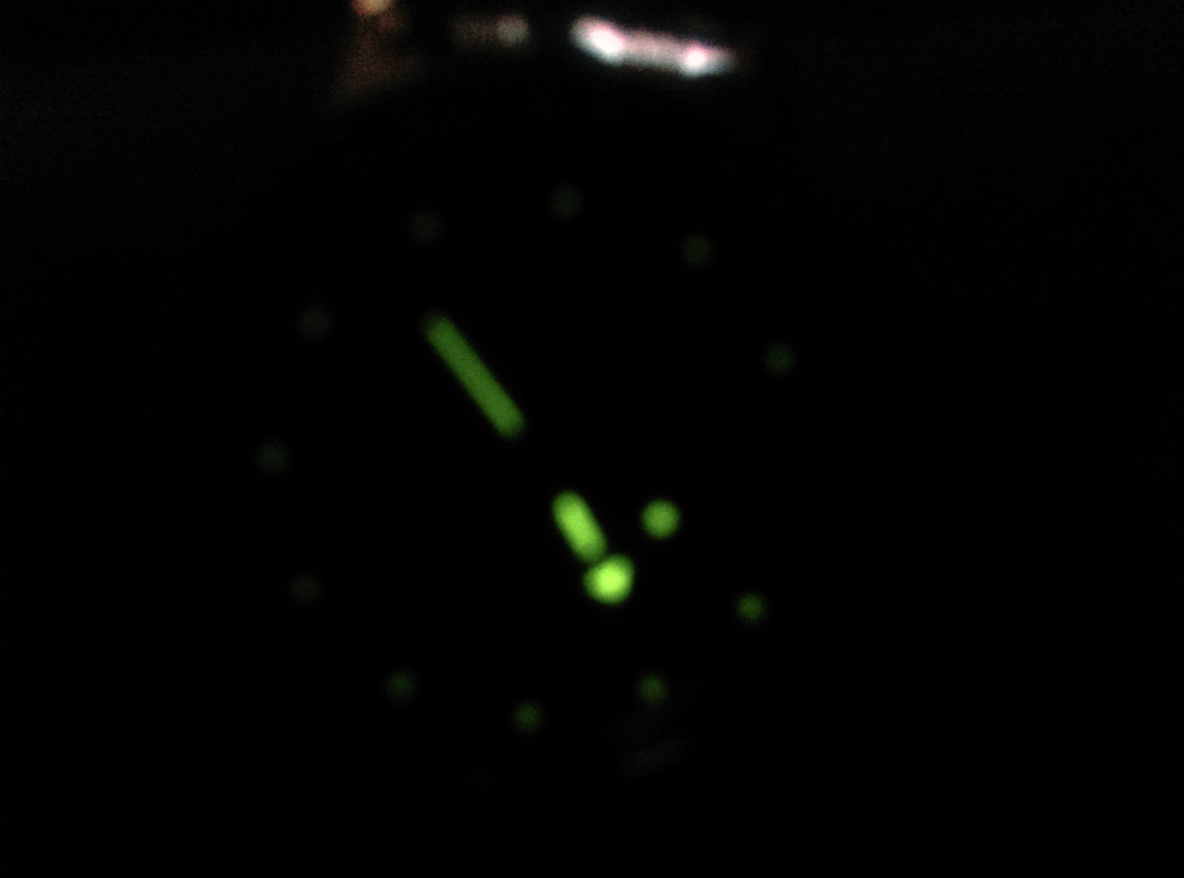 IMAG3008