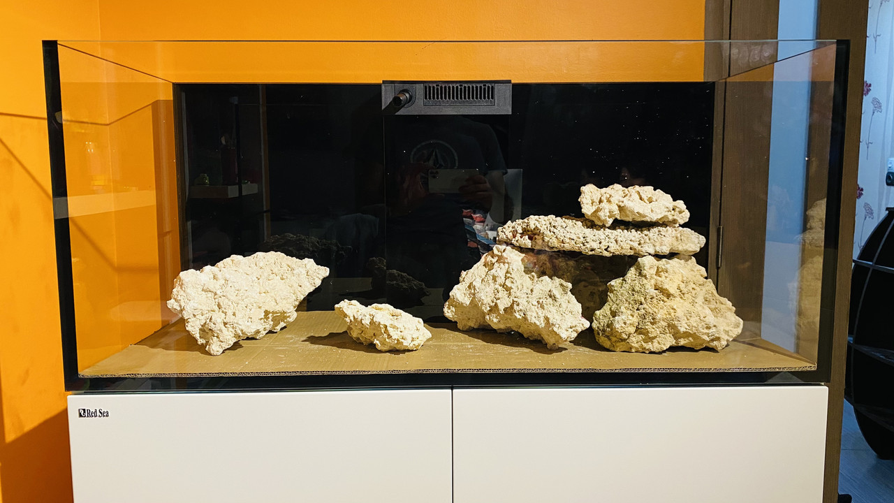 B9447124-4679-45ED-B15D-26BA705FF912