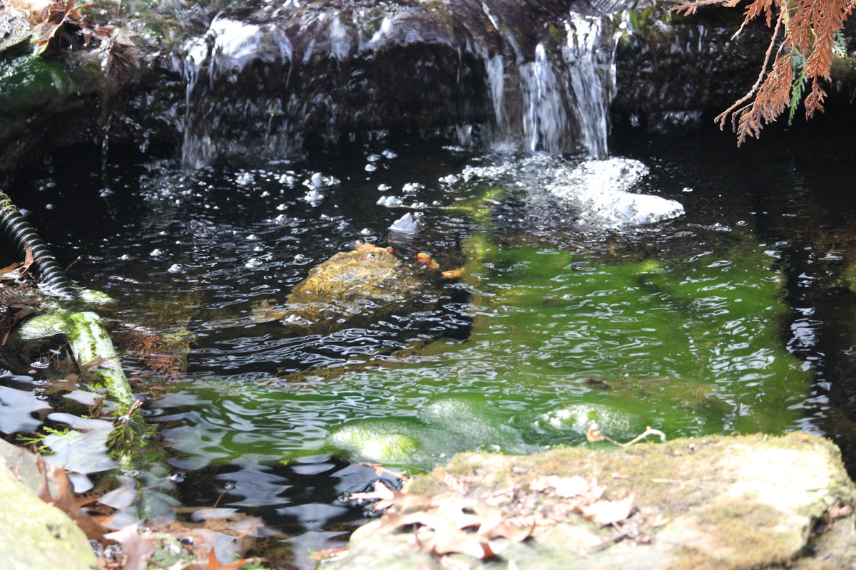 IMG-3097.jpg