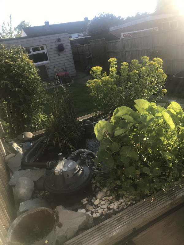 2B060315-3D7C-416E-83BC-B64FAD421297