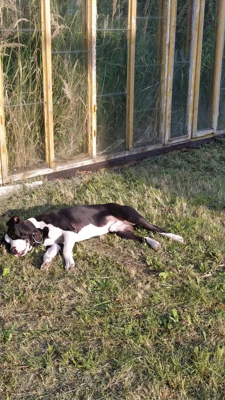 72A1937E-7FE8-431B-B40A-3797AF916FD2