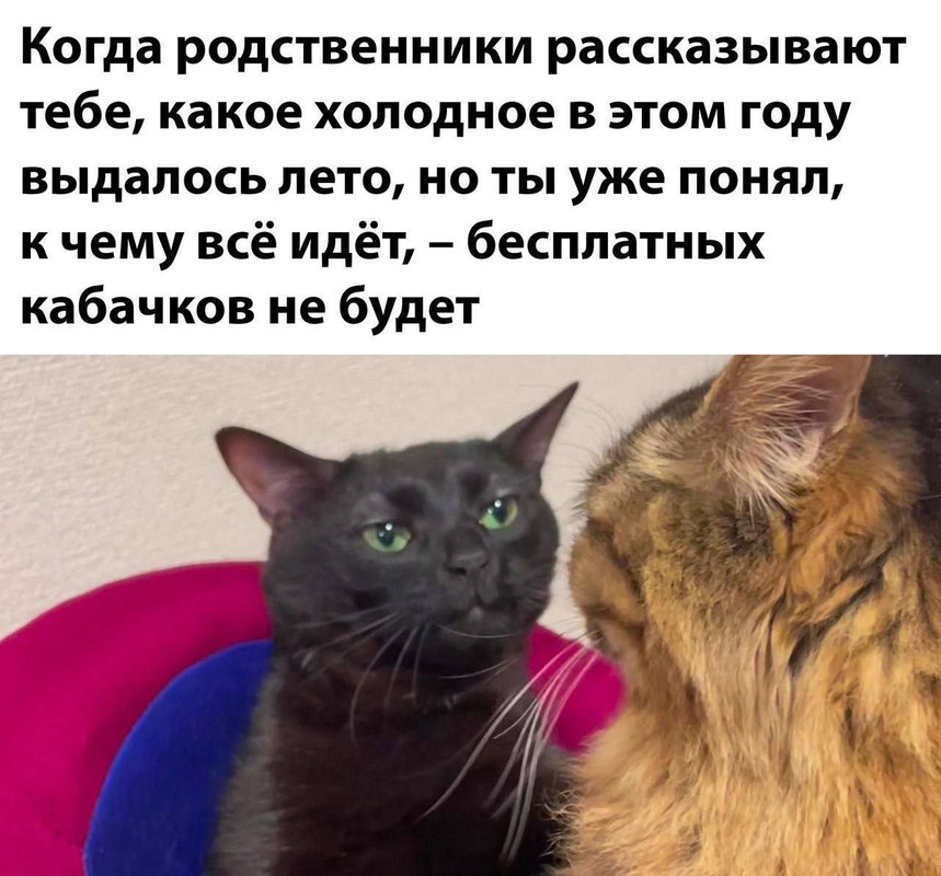 EBDB242C-F908-459B-870A-BF569D8AD59D