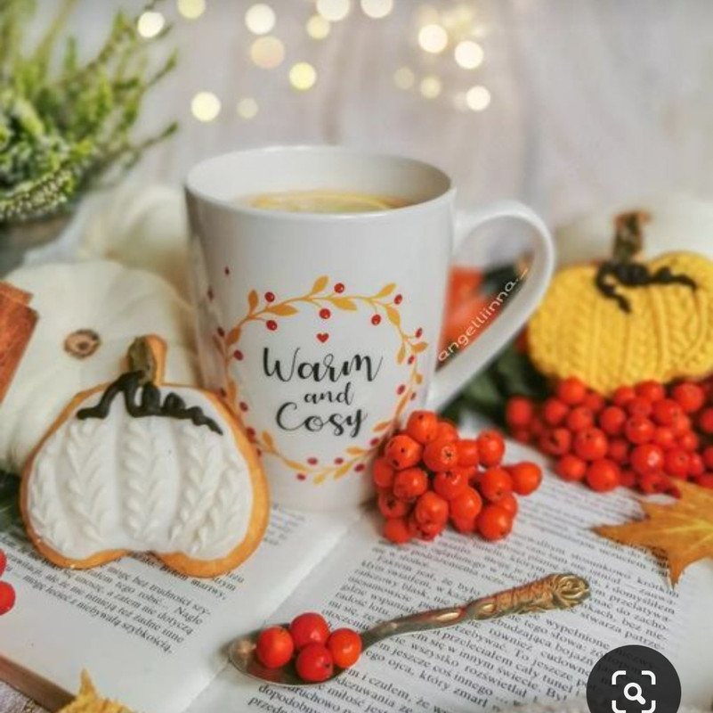 Screenshot_20231031_172510_Pinterest