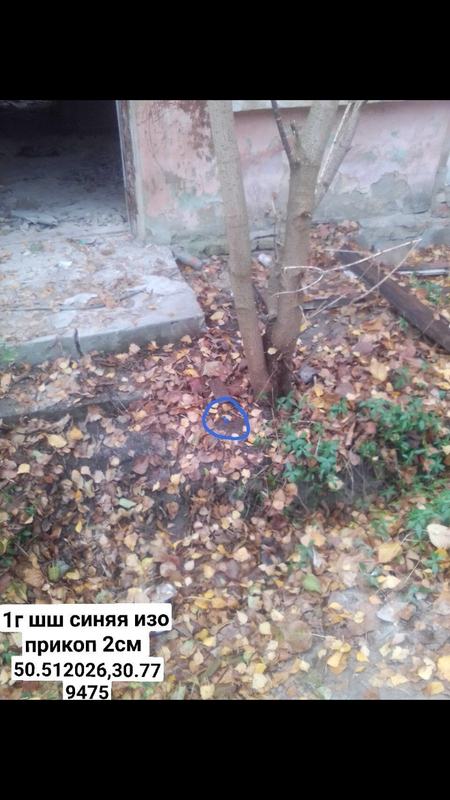 8237A995-EFD4-4E79-99AE-C0E96871A2F2