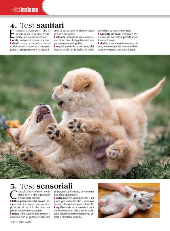 Il M C Lug-Ago 2022 (12)