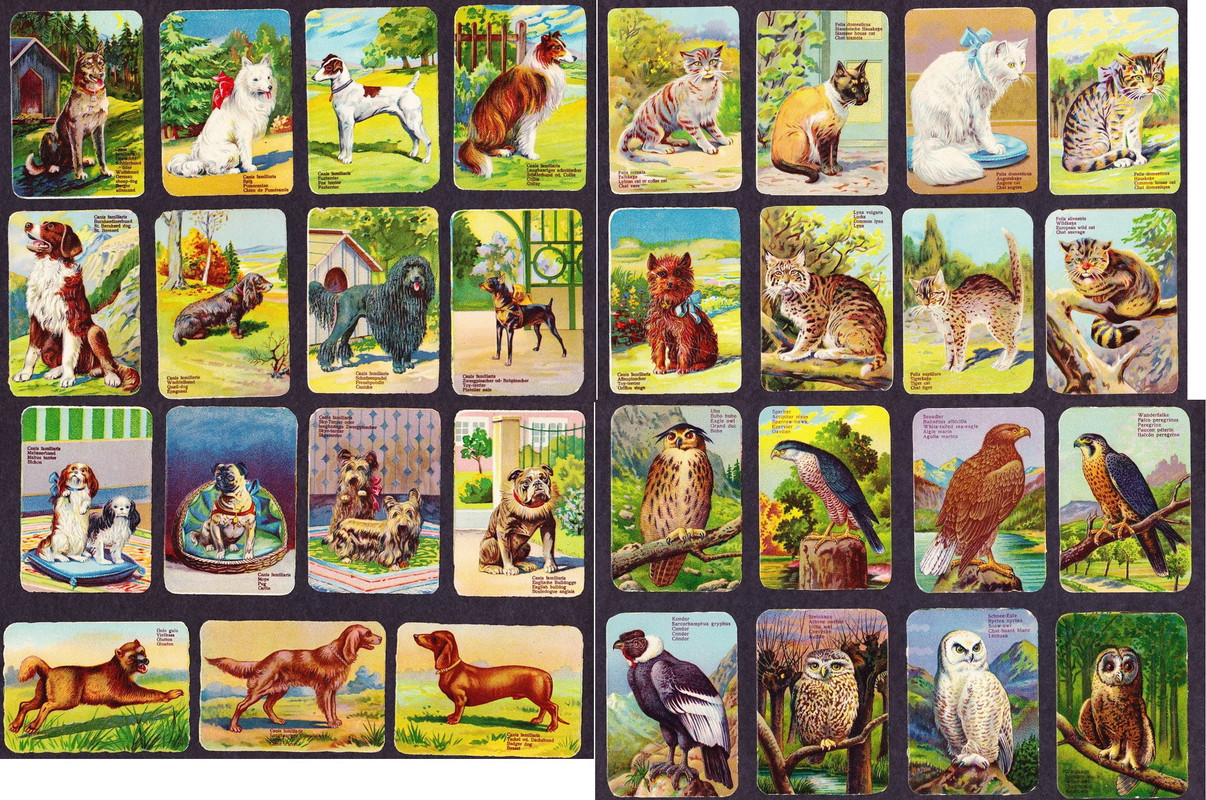 вкладыши (11)_новый размер