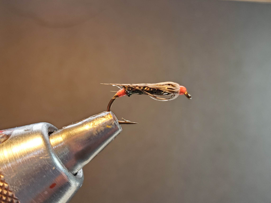 340693682_247568721115708_1857134934173875977_n