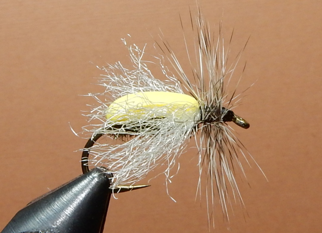 Pest_1080.jpg