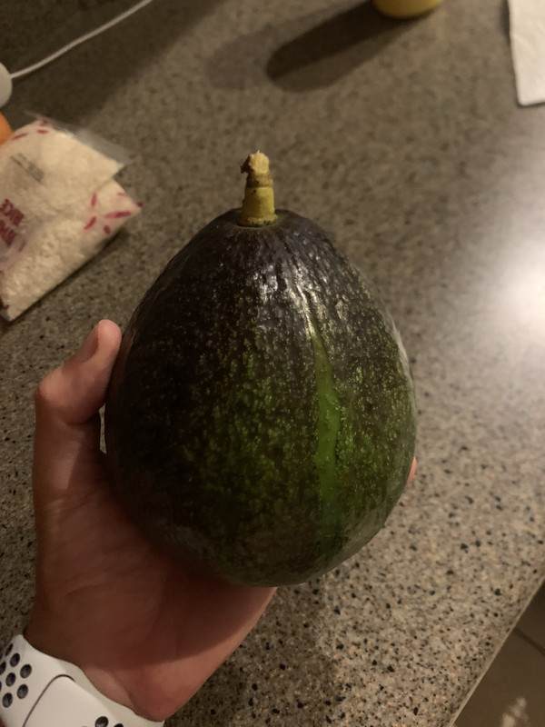 IMG 0355